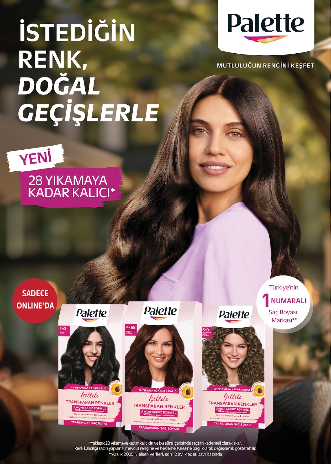 Sayfa 13 küçük resmi