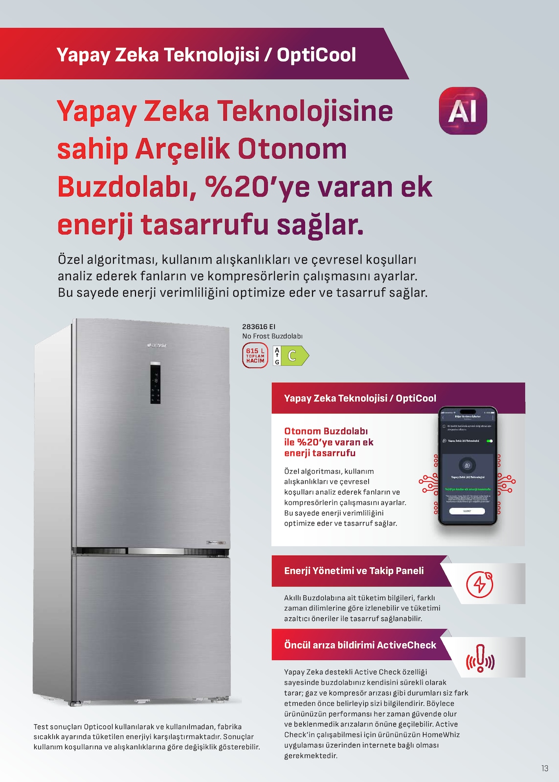 Sayfa 13 küçük resmi
