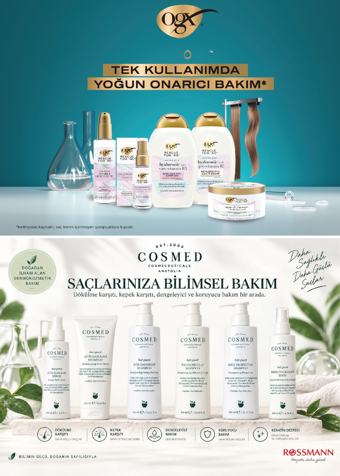 Sayfa 11 küçük resmi