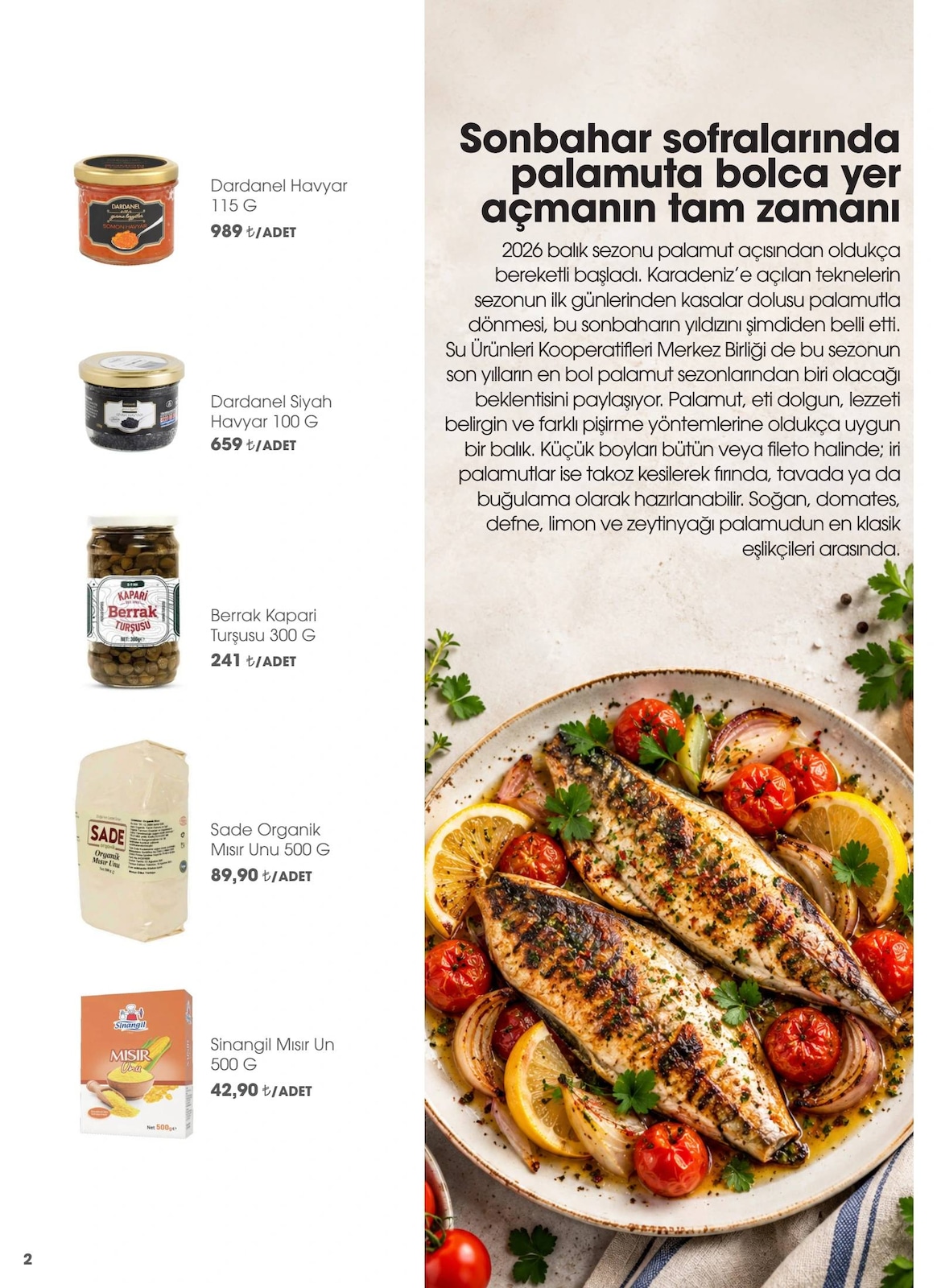 Sayfa 2 küçük resmi