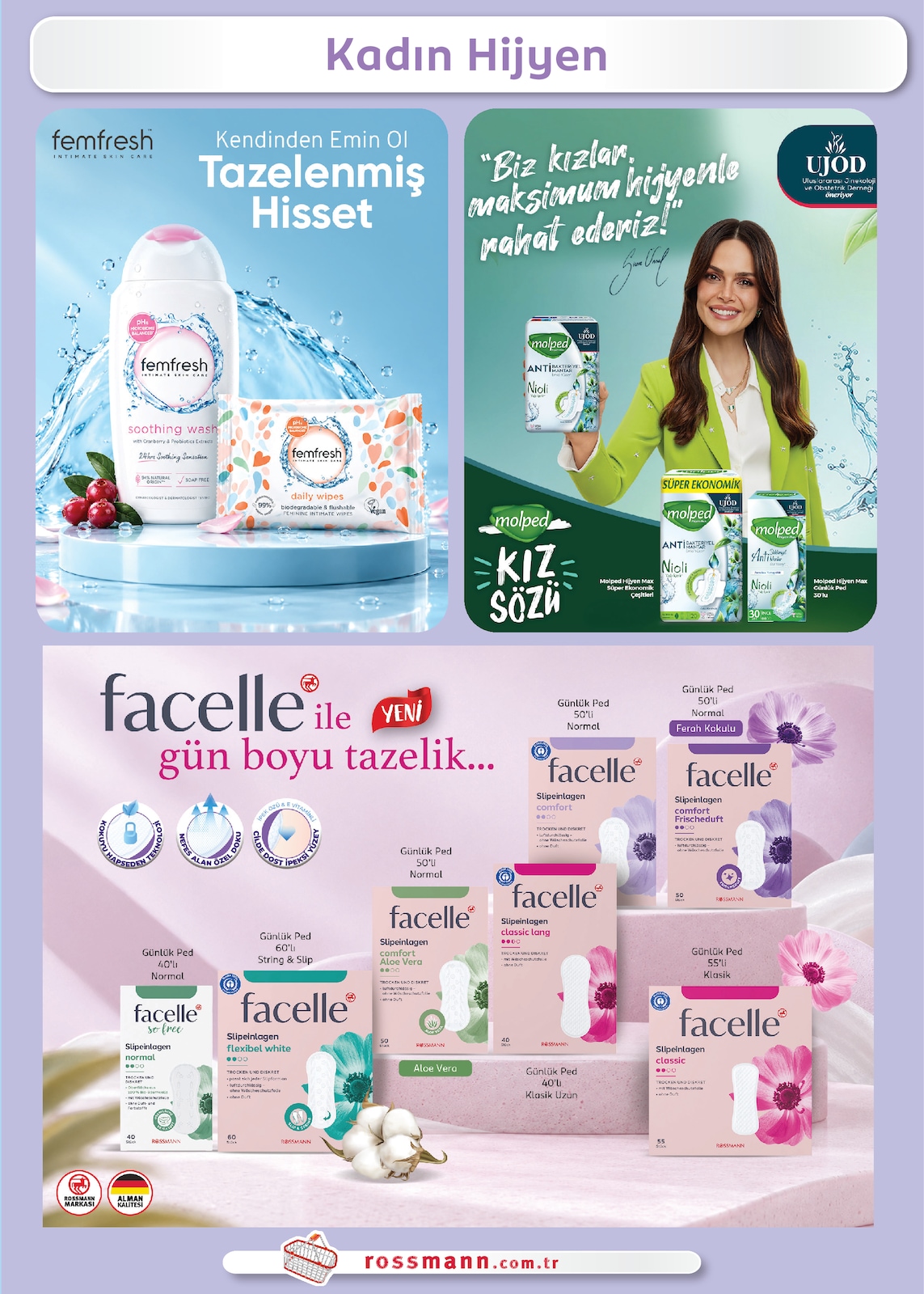 Sayfa 31 küçük resmi