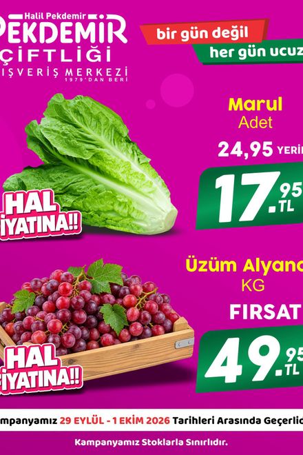 Pekdemir Market İndirim Kataloğu