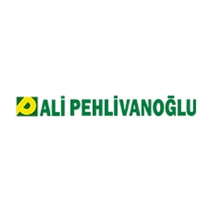 Ali Pehlivanoğlu